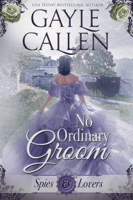 cover of No Ordinary Groom